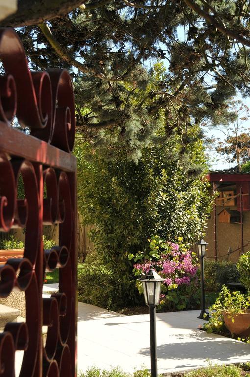 Chambre D'Hotes Le Cypres Bleu Roussillon  Εξωτερικό φωτογραφία